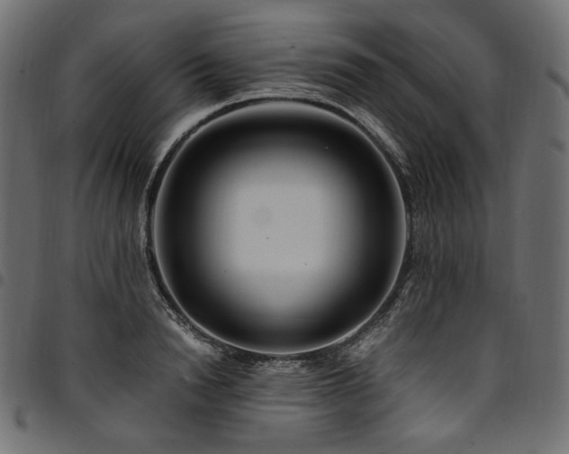 X0000095540846200712141523