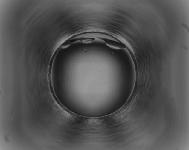 X0000095540847200712141523