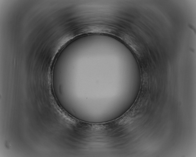 X0000095540848200712141523