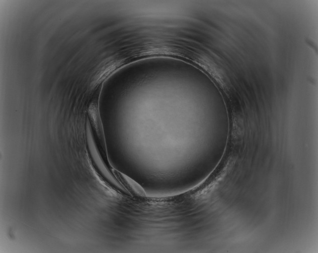 X0000095540849200712141523