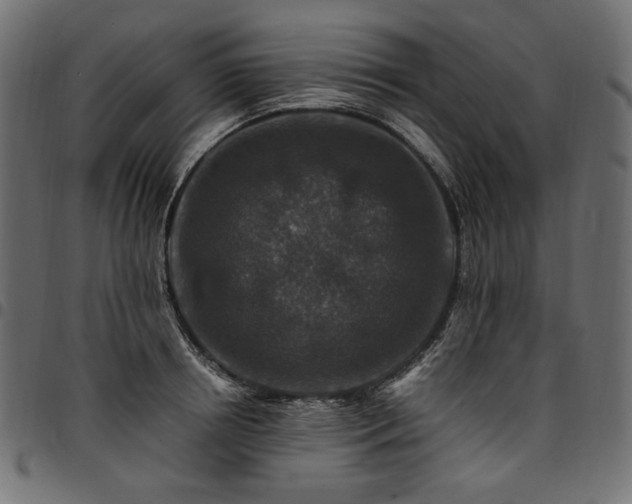 X0000095540850200712141523