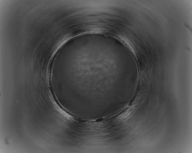 X0000095540851200712141523