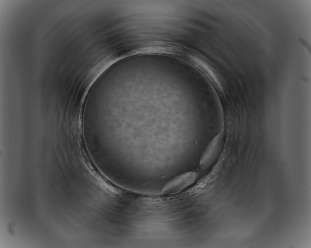 X0000095540852200712141523