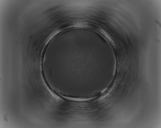 X0000095540853200712141523