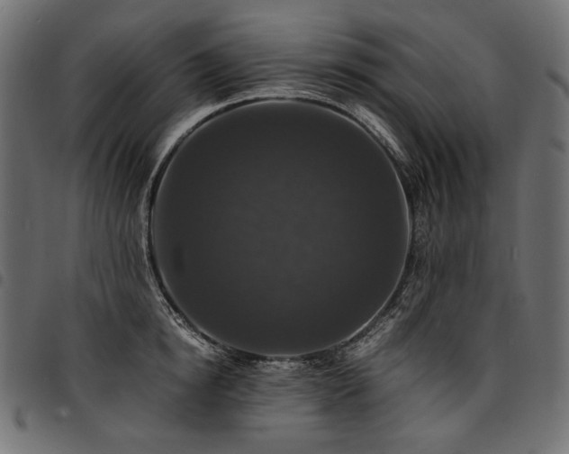 X0000095540854200712141523