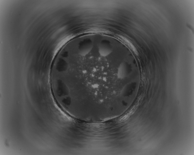 X0000095540855200712141523