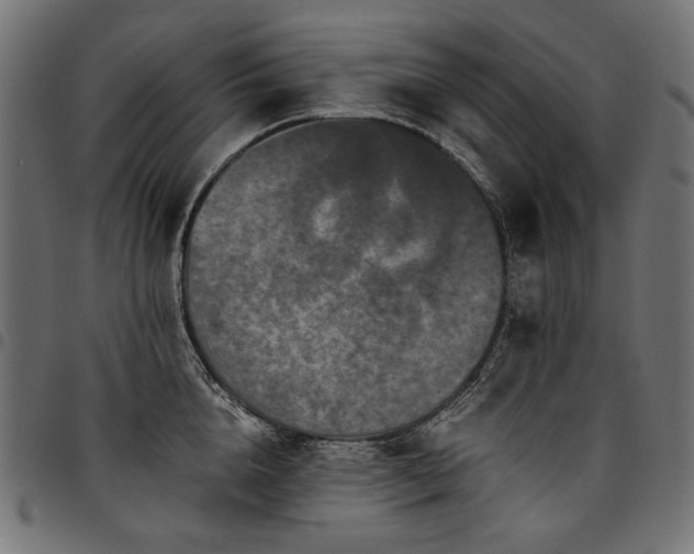 X0000095540856200712141523