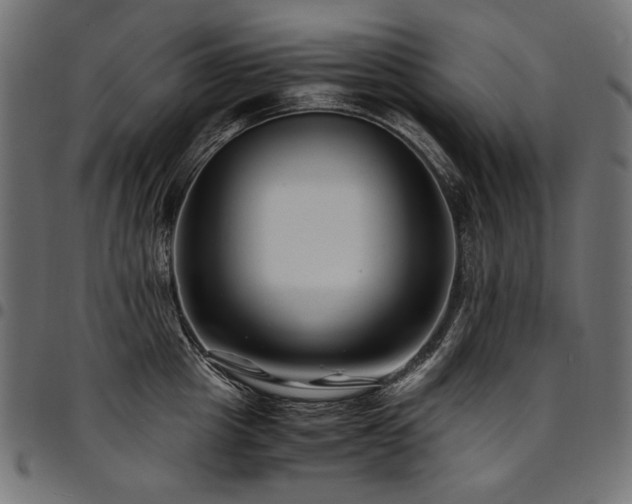 X0000095540857200712141523