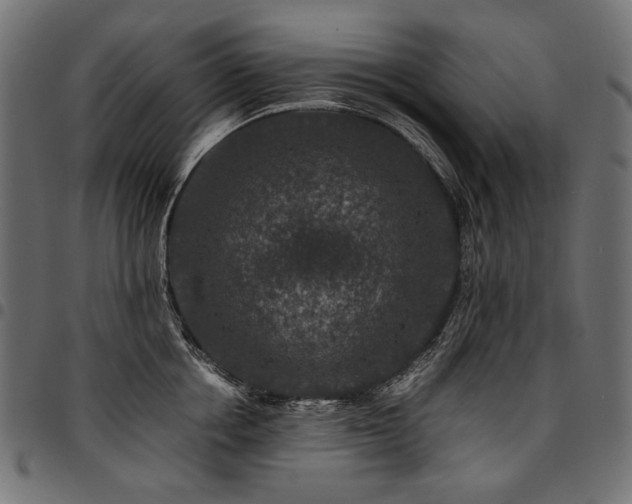 X0000095540858200712141523