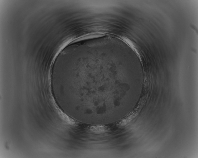 X0000095540859200712141523