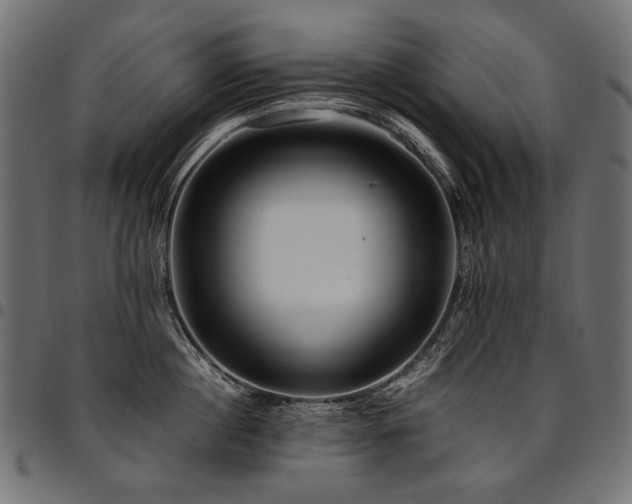 X0000095540860200712141523