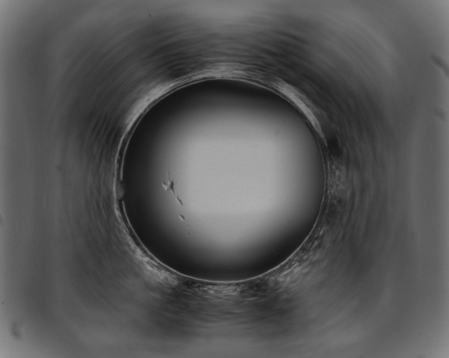 X0000095540861200712141523