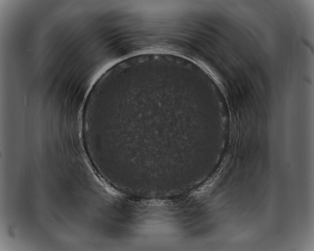 X0000095540862200712141523