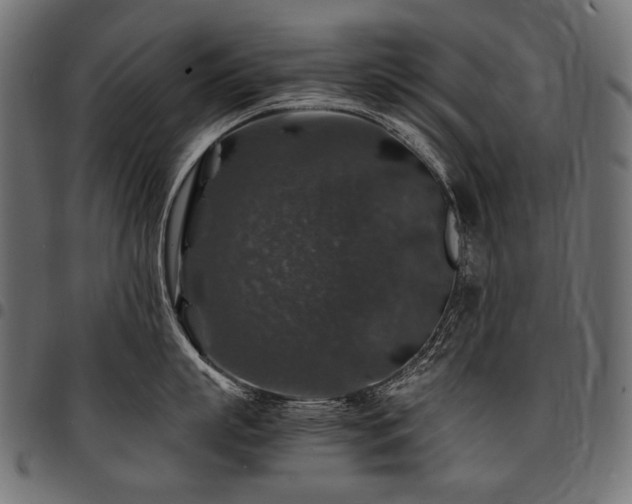 X0000095540863200712141523