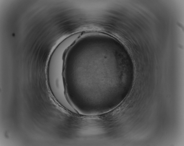 X0000095540864200712141523