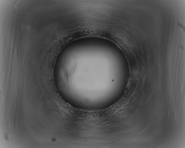 X0000095540865200712141522