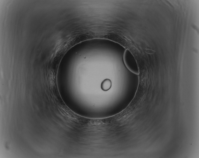 X0000095540866200712141522