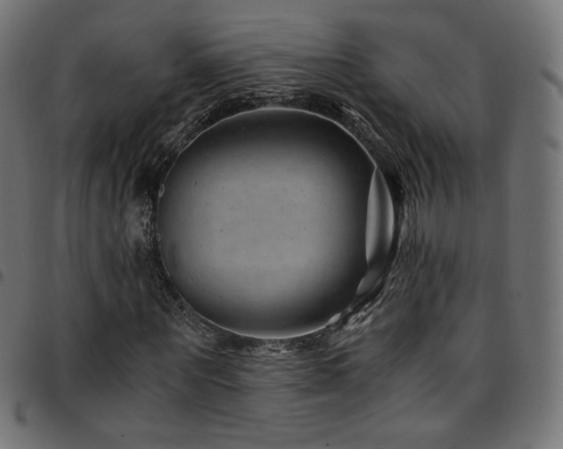 X0000095540867200712141522