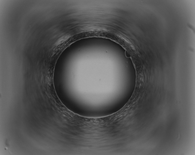 X0000095540869200712141522