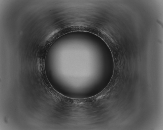 X0000095540870200712141522