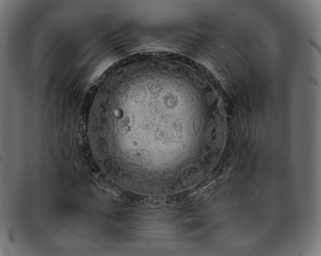 X0000095540871200712141522