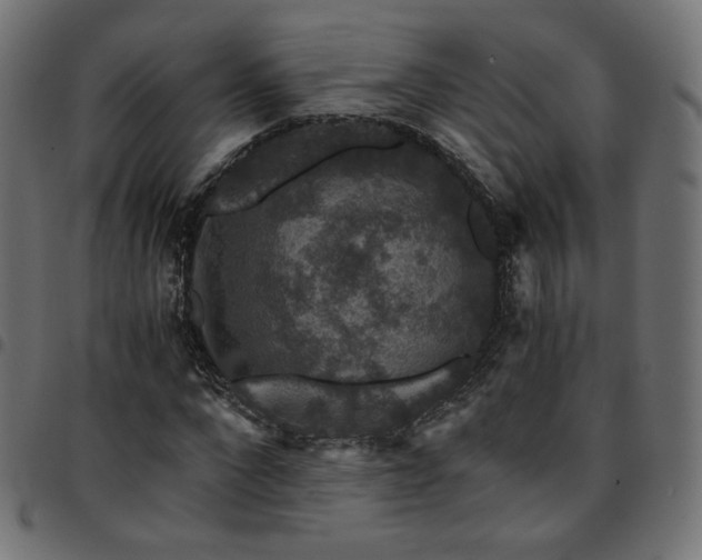 X0000095540872200712141522