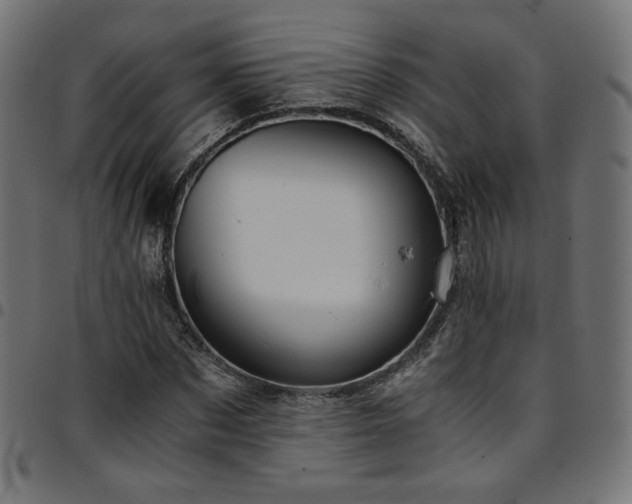 X0000095540873200712141522