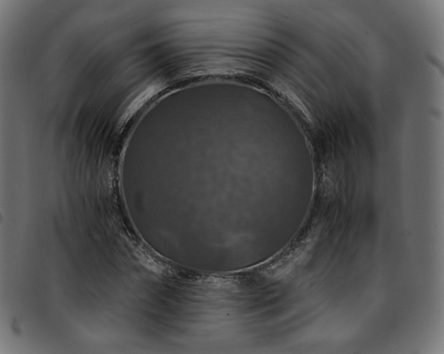 X0000095540874200712141522