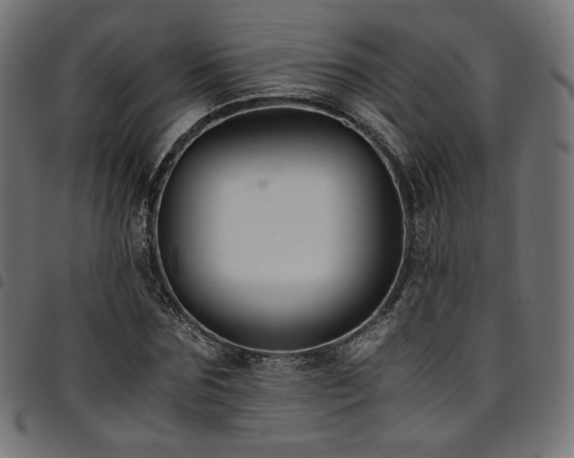 X0000095540875200712141522