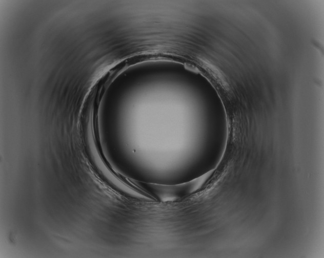 X0000095540876200712141522