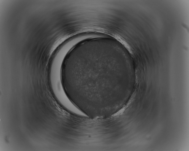 X0000095540877200712141522