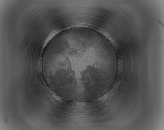 X0000095540878200712141522