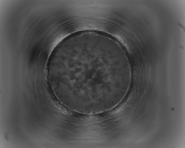 X0000095540879200712141522