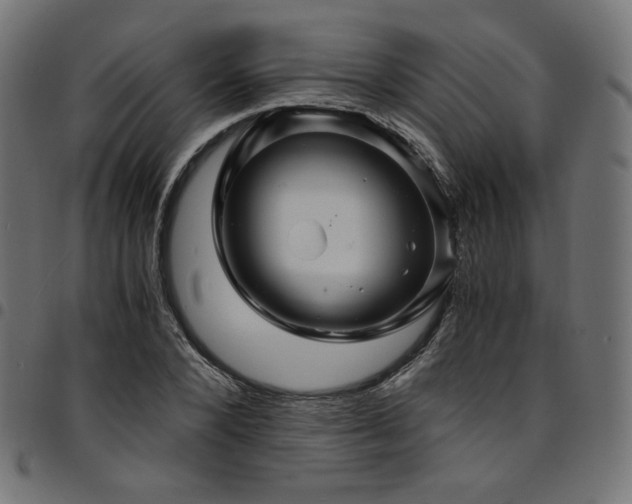 X0000095540880200712141522