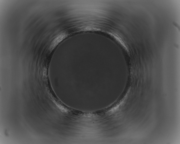 X0000095540881200712141522