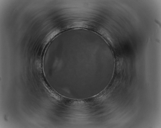 X0000095540882200712141522