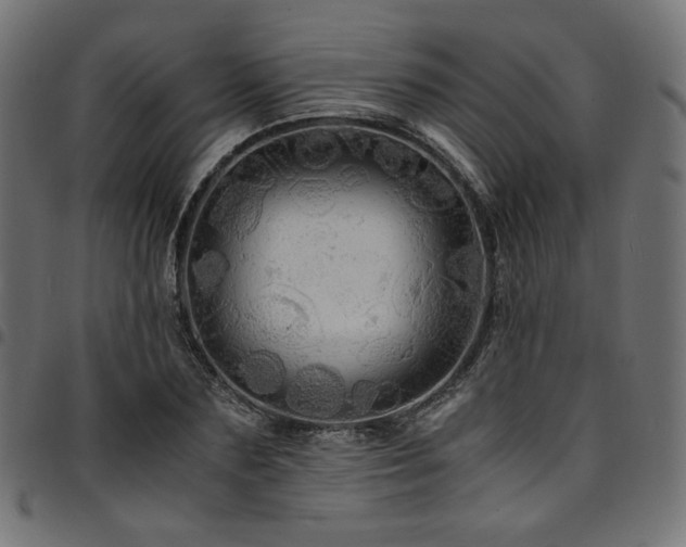 X0000095540883200712141522