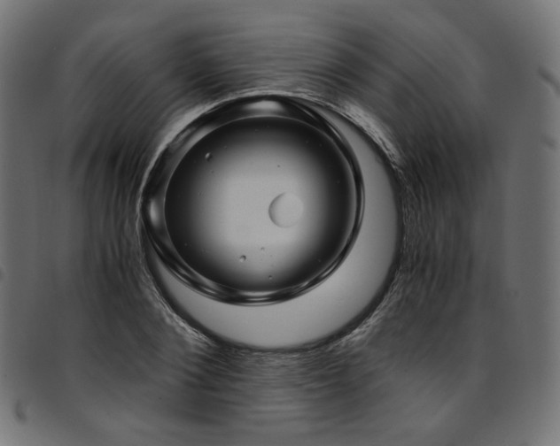 X0000095540884200712141522