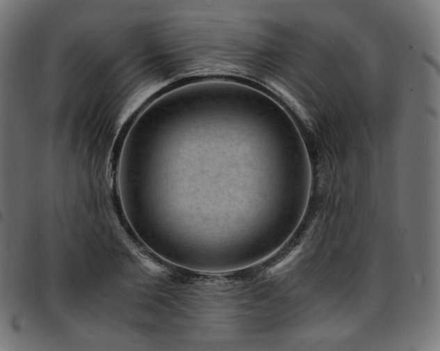 X0000095540885200712141522