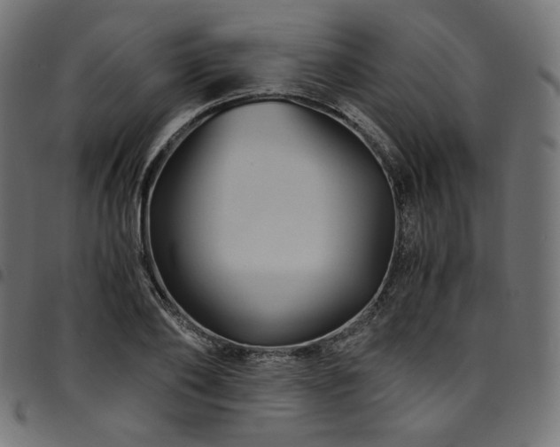 X0000095540886200712141522