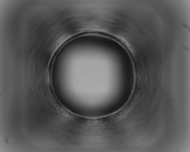 X0000095540887200712141522