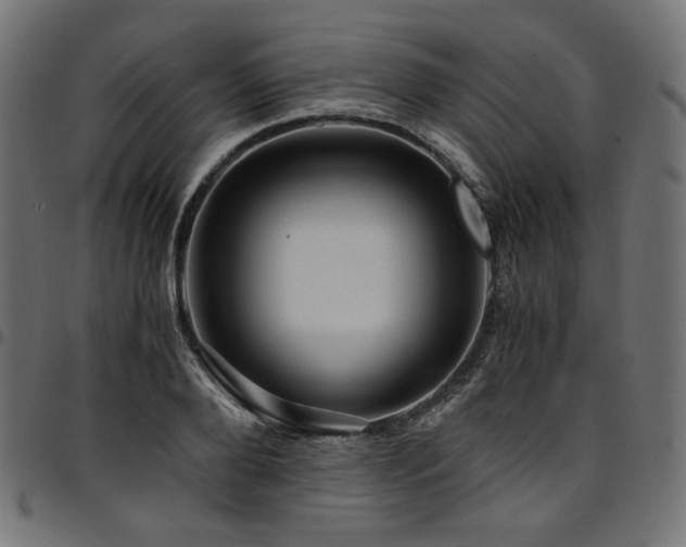 X0000095540888200712141522