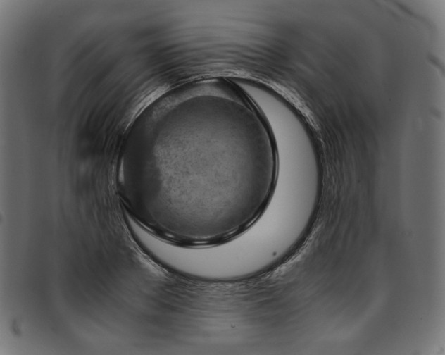 X0000095540889200712141522