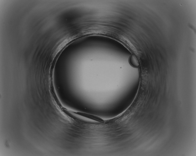 X0000095540890200712141522