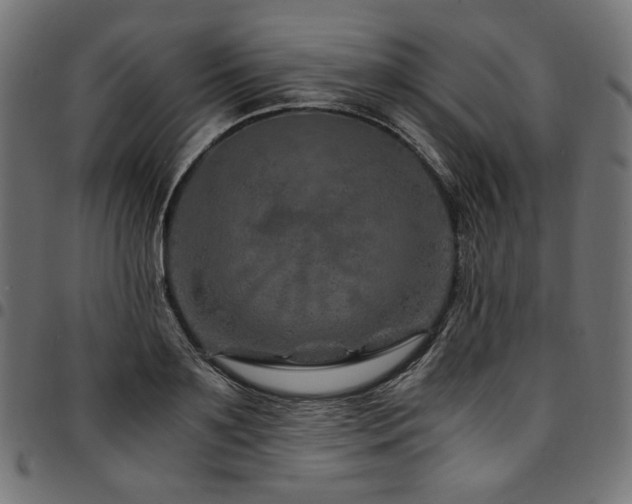 X0000095540891200712141522