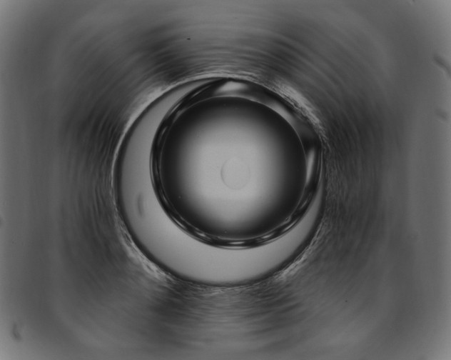 X0000095540892200712141522