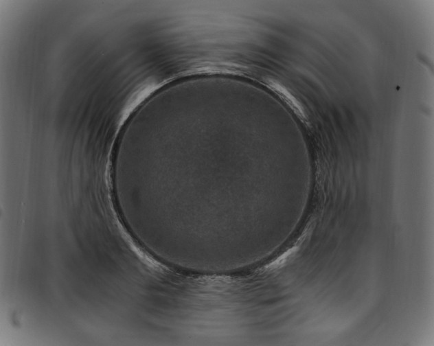 X0000095540893200712141522