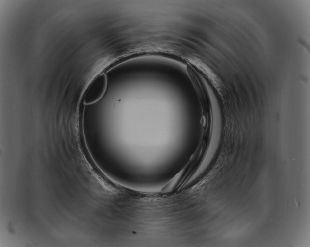 X0000095540894200712141522