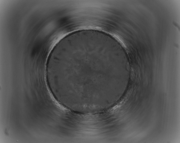 X0000095540895200712141522