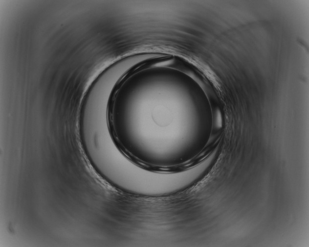 X0000095540896200712141522